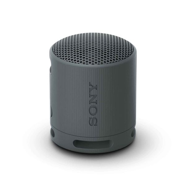 sony_bluetooth_speaker_srs_xb100_black_attovAQ5B4KMi9TCg.jpg
